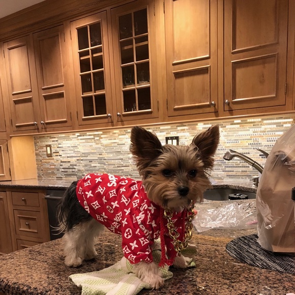 Meet your Posher, Mimi - Picture 2 of 2